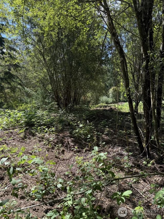 Property photo for 18703 Sr 302, Gig Harbor photo 5