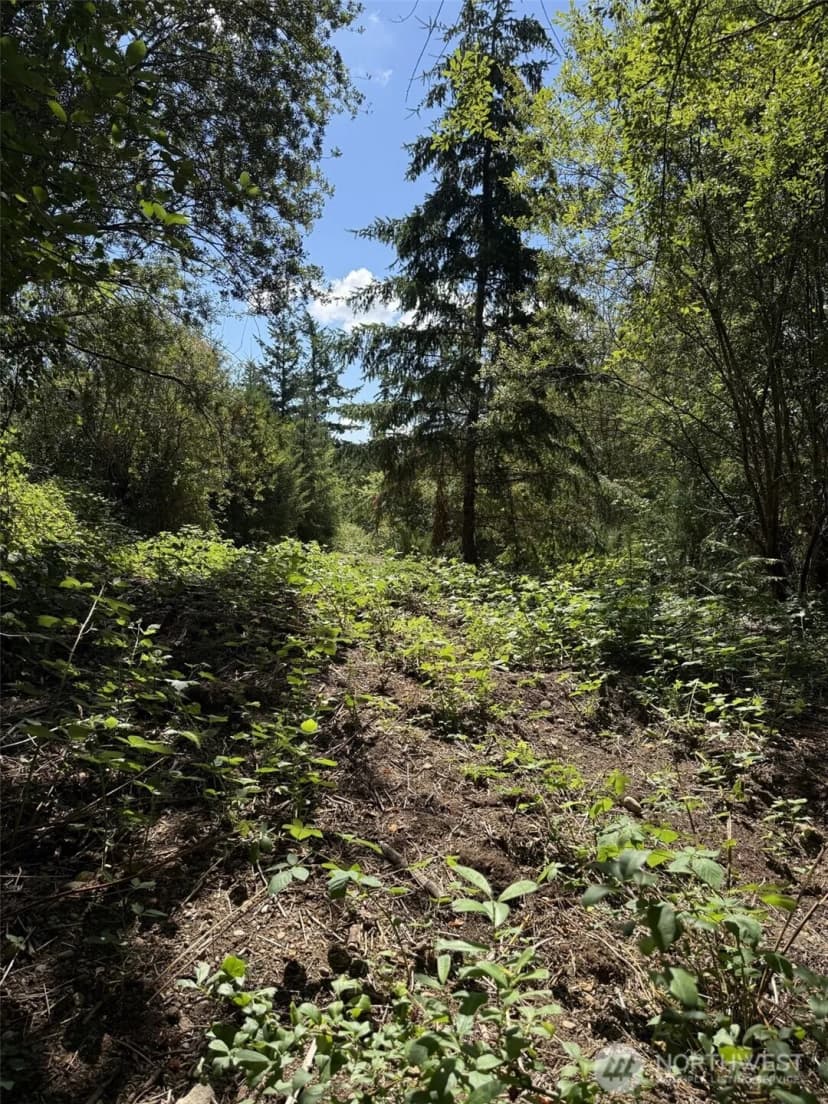 Property photo for 18703 Sr 302, Gig Harbor photo 4