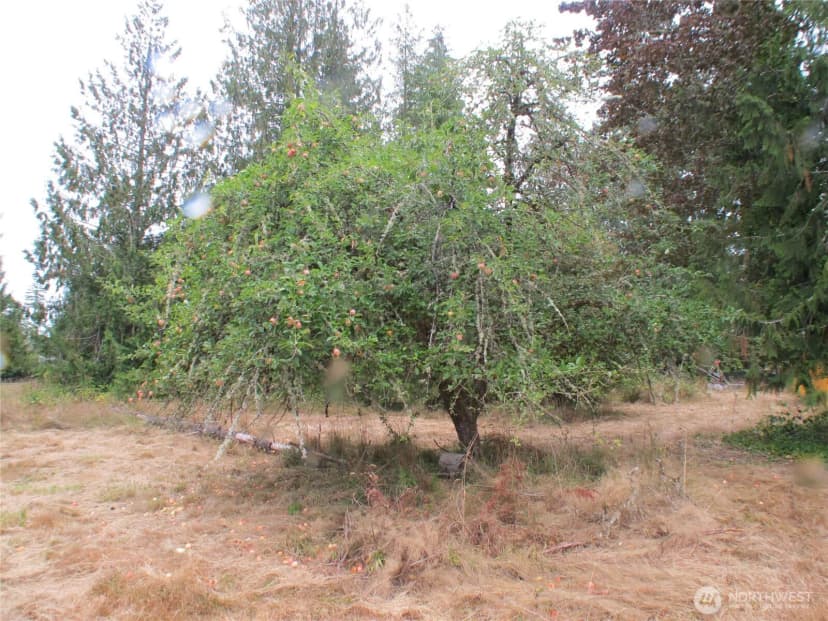 Property photo for 8319 Skookumchuck Road Se, Tenino photo 6