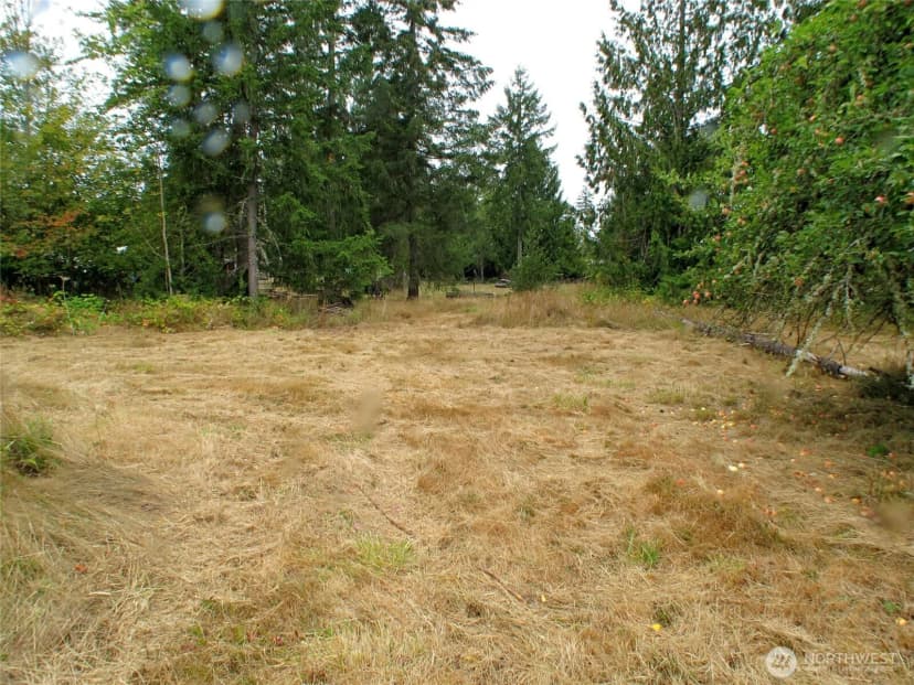 Property photo for 8319 Skookumchuck Road Se, Tenino photo 7