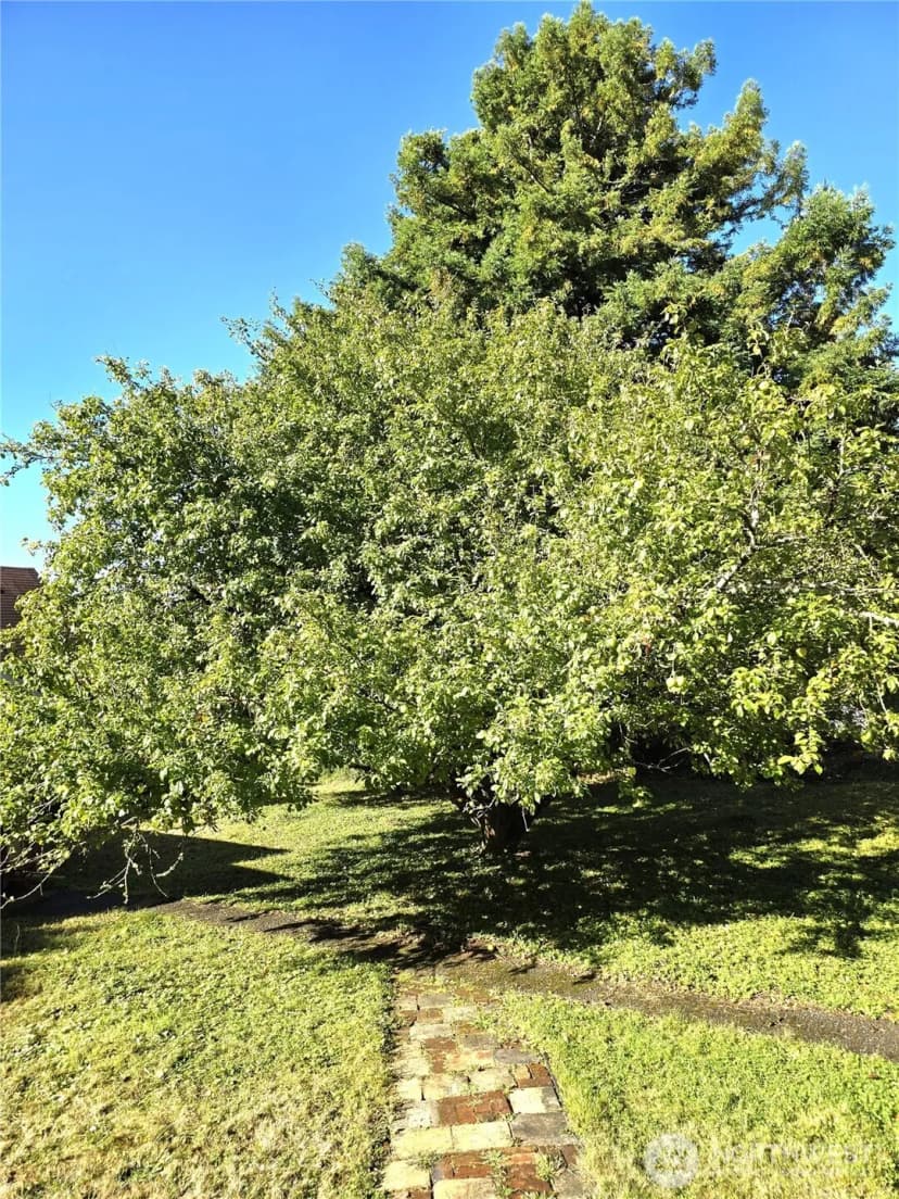 Property photo for 508 Cedar Street Ne, Ilwaco photo 30