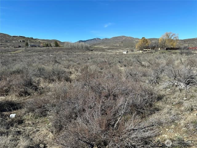 Property photo for 81 W Chewuch Road, Winthrop