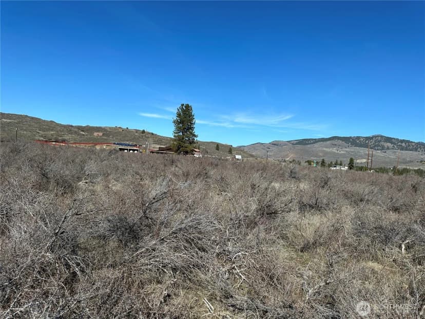 Property photo for 81 W Chewuch Road, Winthrop photo 10