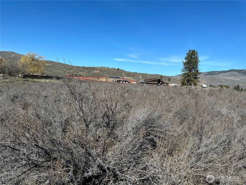 Property photo for 81 W Chewuch Road, Winthrop photo 7