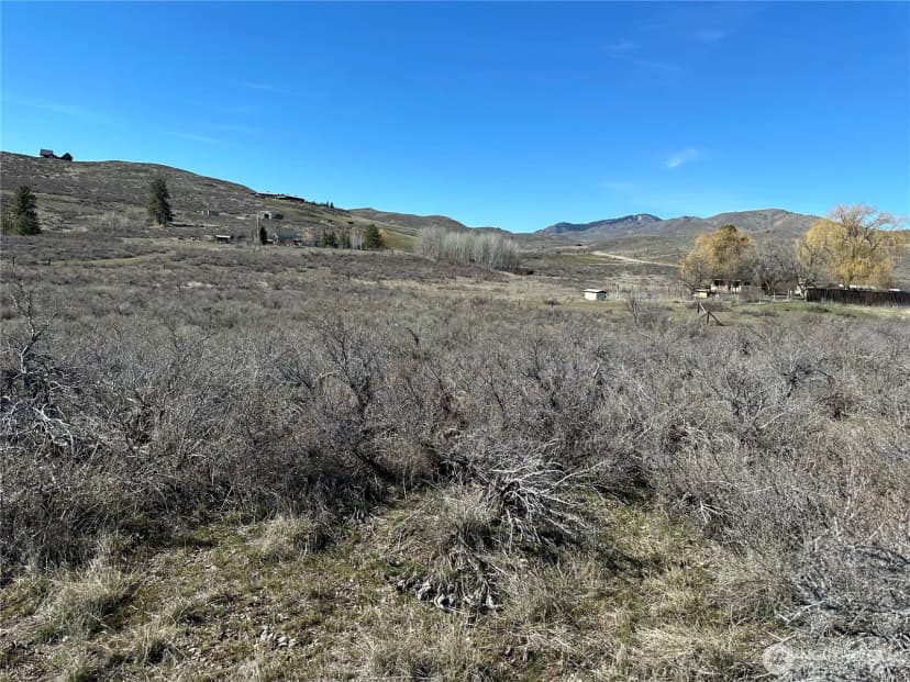 Property photo for 81 W Chewuch Road, Winthrop photo 8