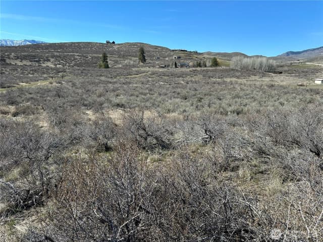 Property photo for 81 W Chewuch Road, Winthrop photo 4