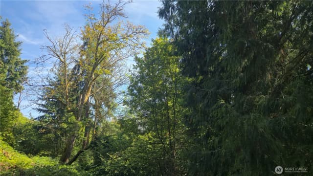 Property photo for 11912 53rd Street Ct E, Edgewood photo 5