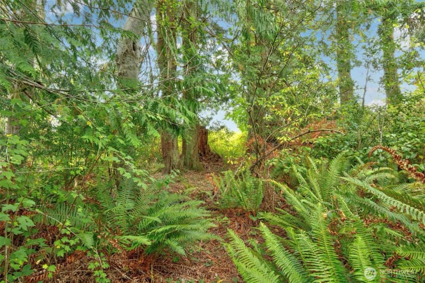 Property photo for 36132 Hood Canal Drive Ne, Hansville photo 24