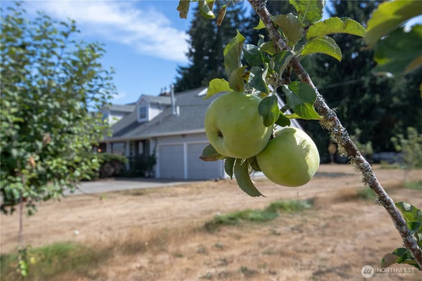 Property photo for 11632 Crockett Street Sw, Olympia photo 38