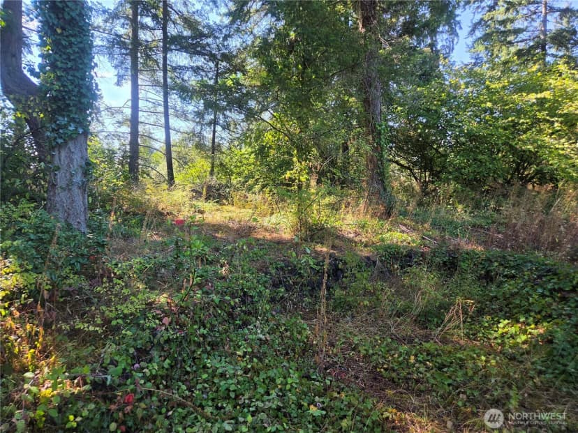 Property photo for 15120 30th Avenue Ct E, Tacoma photo 4