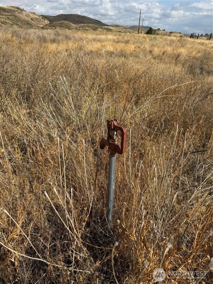 Property photo for 0 17 & 18 Grey Goose Road, Omak photo 4