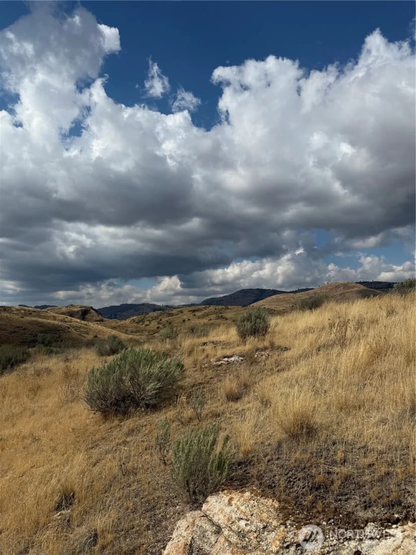 Property photo for 0 17 & 18 Grey Goose Road, Omak photo 16