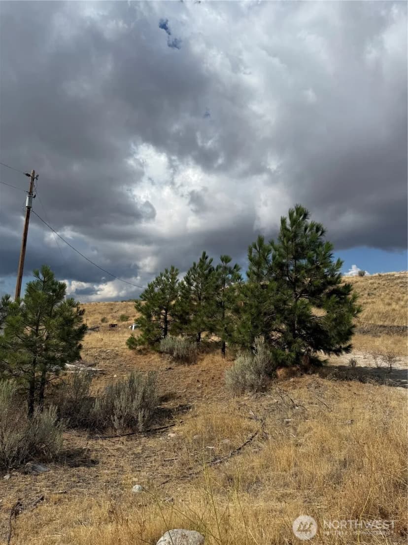 Property photo for 0 17 & 18 Grey Goose Road, Omak photo 14