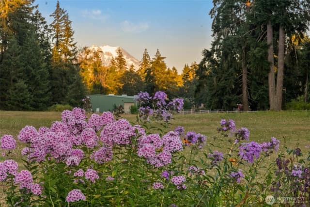 Property photo for 26117 34th Avenue E, Spanaway photo 4