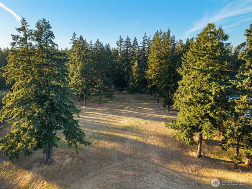 Property photo for 26117 34th Avenue E, Spanaway photo 40