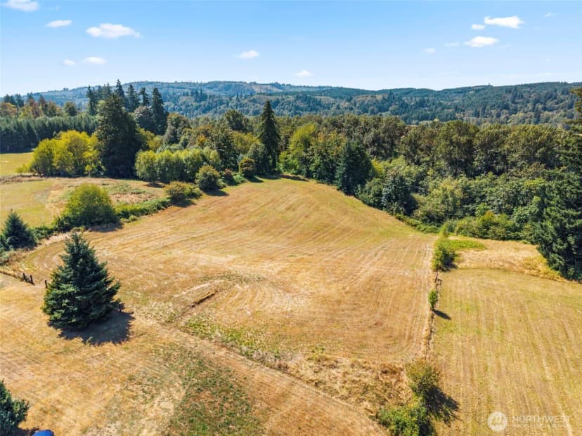 Property photo for 4523 Pleasant Hill Road, Kelso photo 11
