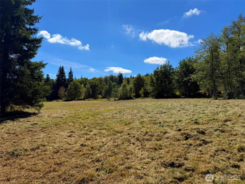 Property photo for 404 Black Bear Trail, Port Angeles photo 13