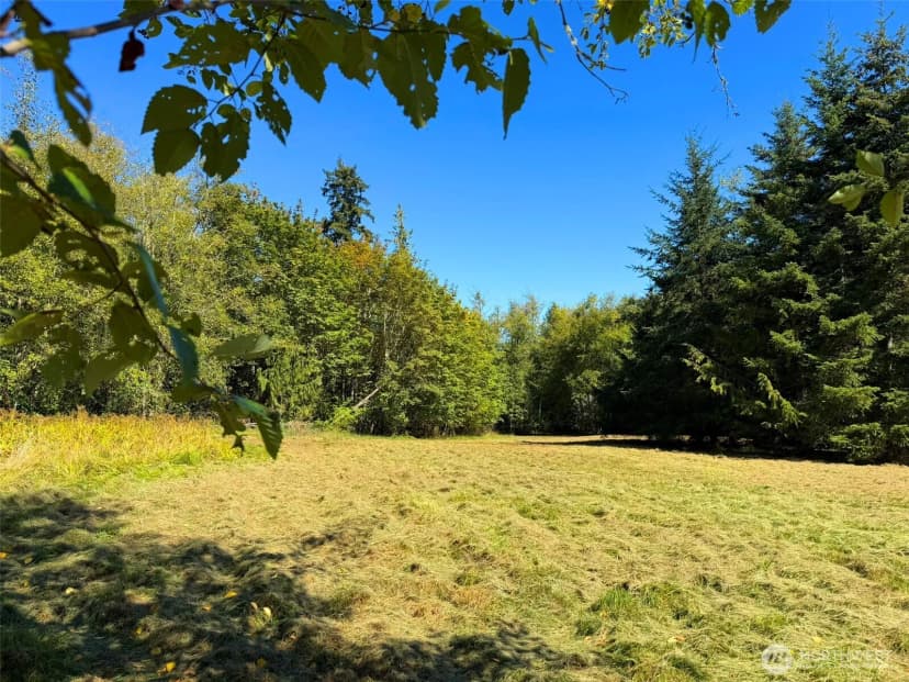 Property photo for 404 Black Bear Trail, Port Angeles photo 10