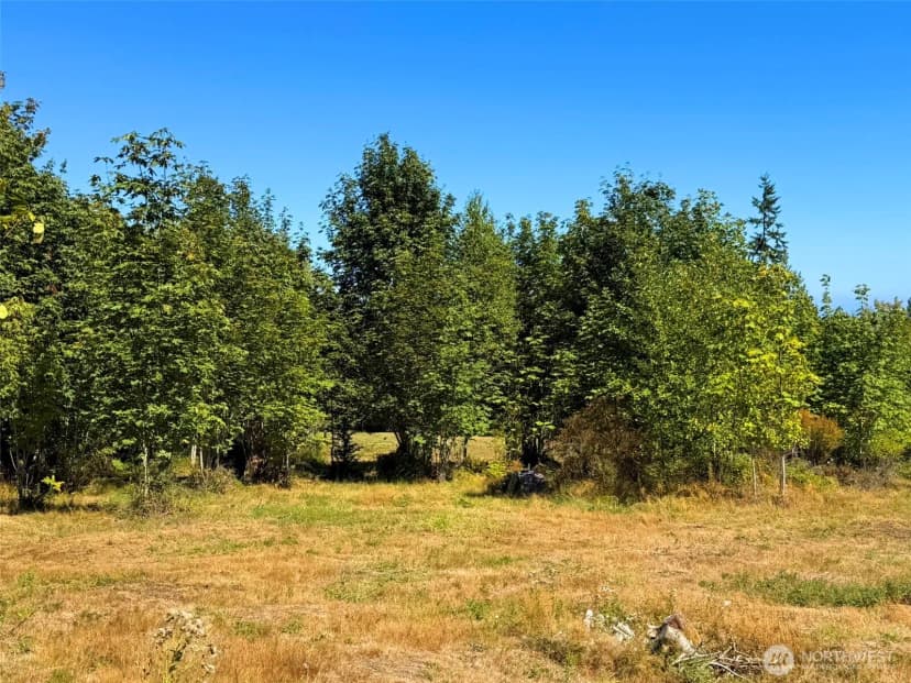 Property photo for 404 Black Bear Trail, Port Angeles photo 34