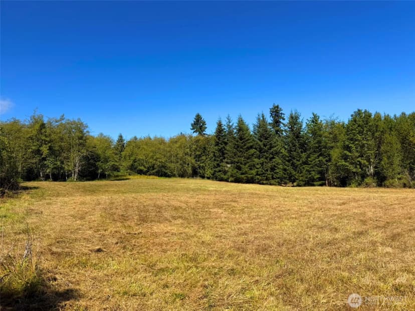 Property photo for 404 Black Bear Trail, Port Angeles photo 25