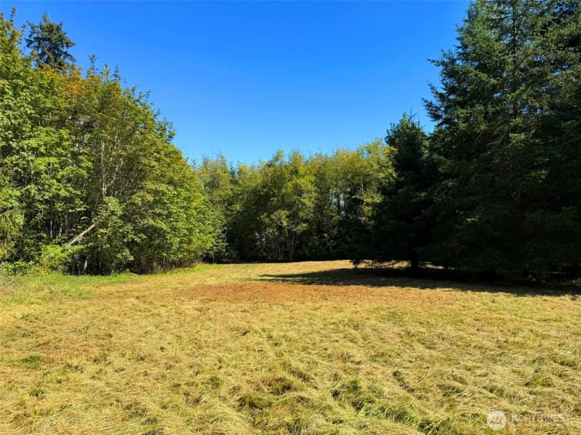 Property photo for 404 Black Bear Trail, Port Angeles photo 11