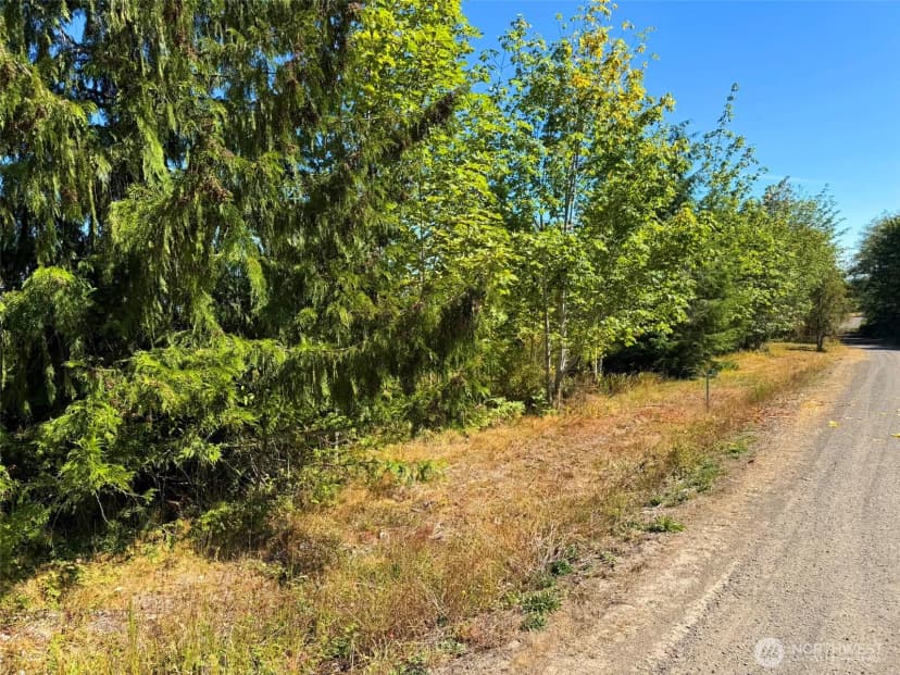 Property photo for 404 Black Bear Trail, Port Angeles photo 32