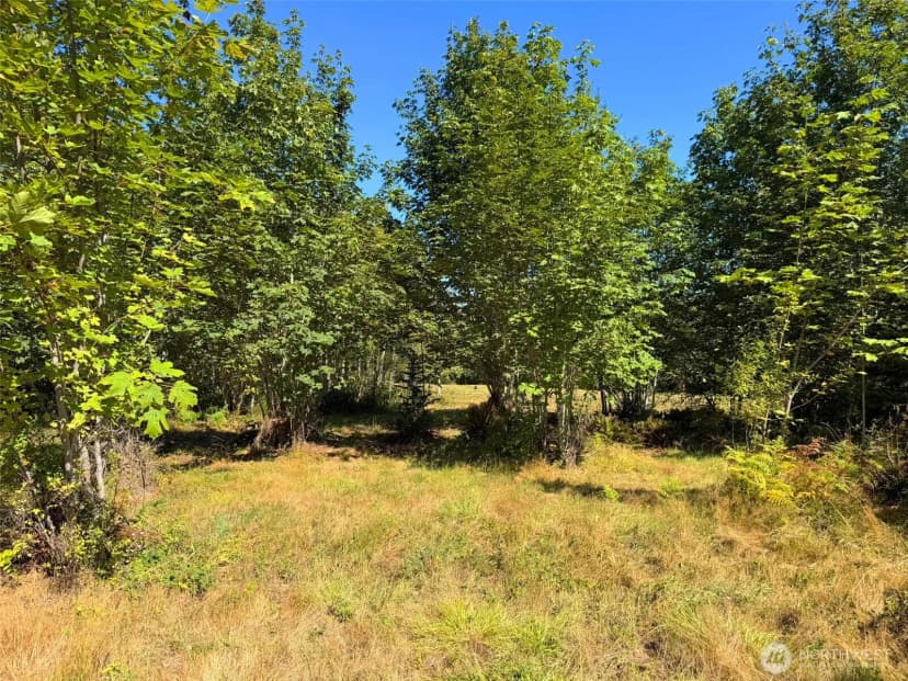 Property photo for 404 Black Bear Trail, Port Angeles photo 8