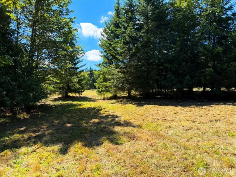 Property photo for 404 Black Bear Trail, Port Angeles photo 14