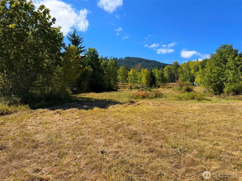 Property photo for 404 Black Bear Trail, Port Angeles photo 22