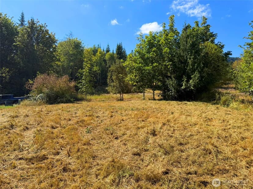 Property photo for 404 Black Bear Trail, Port Angeles photo 38