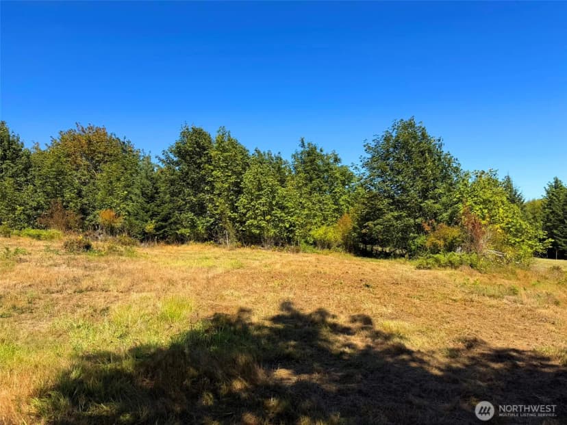 Property photo for 404 Black Bear Trail, Port Angeles photo 28