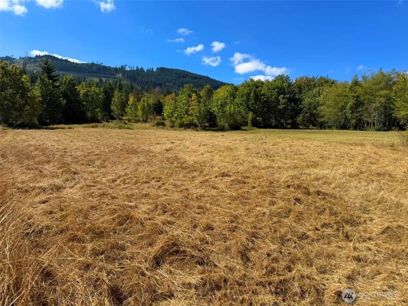 Property photo for 404 Black Bear Trail, Port Angeles photo 20