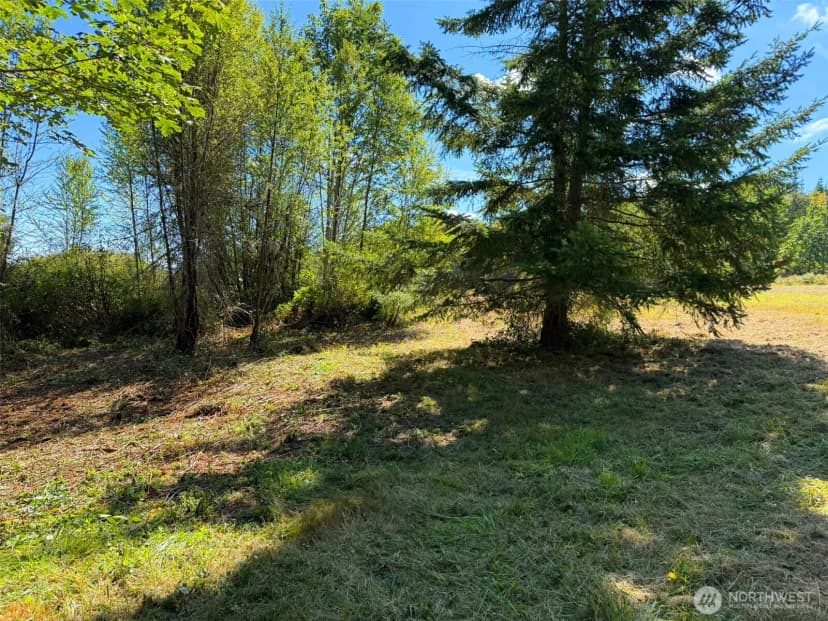 Property photo for 404 Black Bear Trail, Port Angeles photo 17