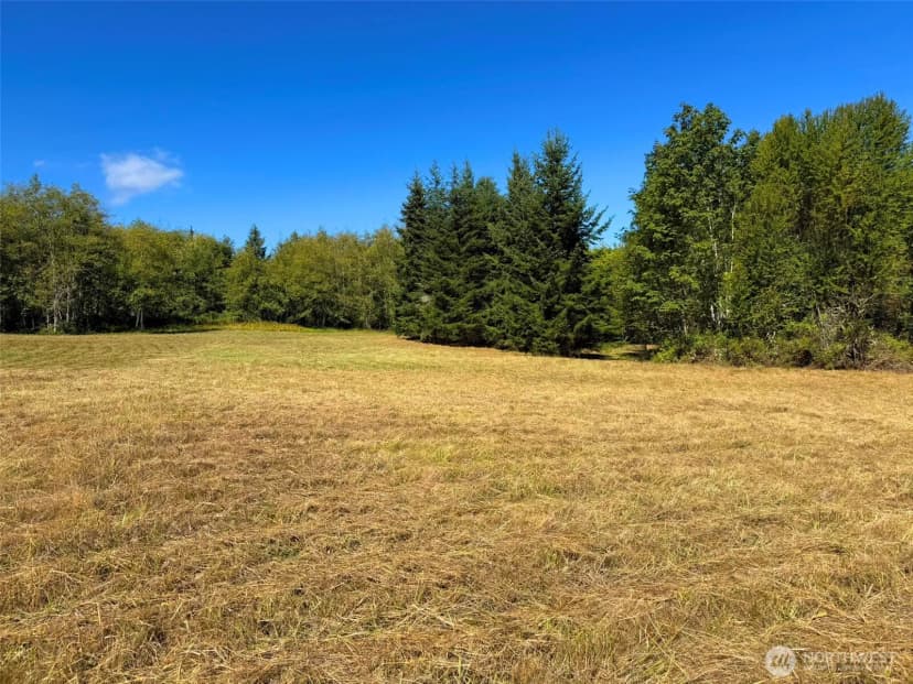 Property photo for 404 Black Bear Trail, Port Angeles photo 21
