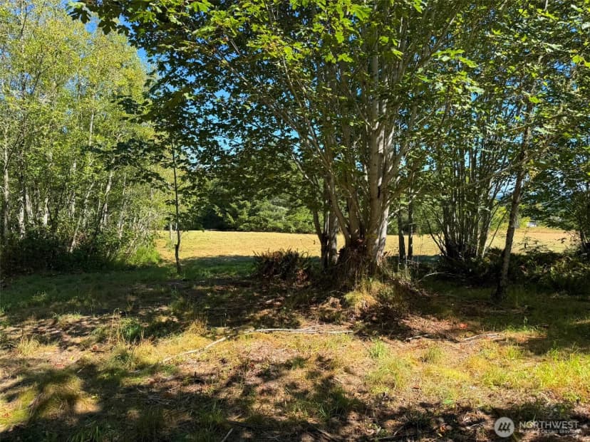 Property photo for 404 Black Bear Trail, Port Angeles photo 7