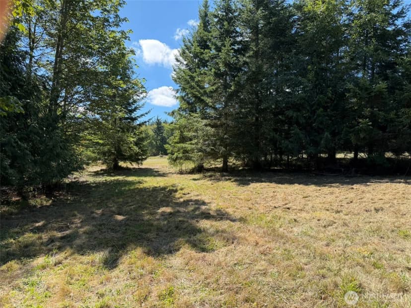 Property photo for 404 Black Bear Trail, Port Angeles photo 16