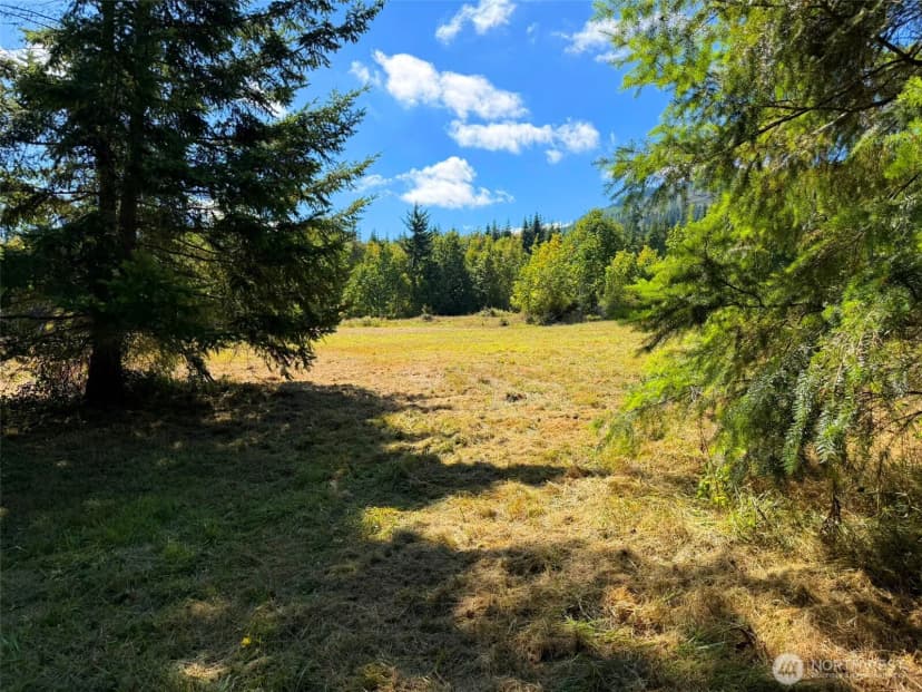 Property photo for 404 Black Bear Trail, Port Angeles photo 18