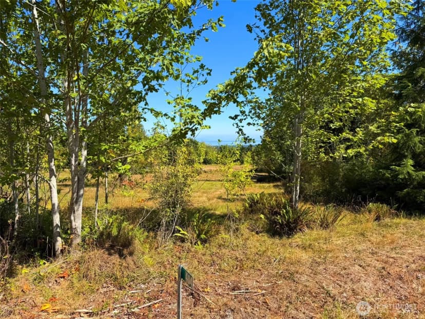 Property photo for 404 Black Bear Trail, Port Angeles photo 31