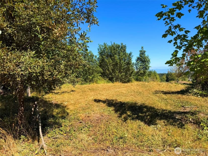 Property photo for 404 Black Bear Trail, Port Angeles photo 36