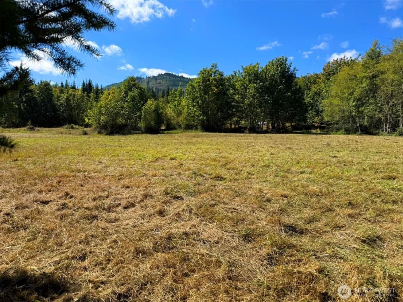 Property photo for 404 Black Bear Trail, Port Angeles photo 19