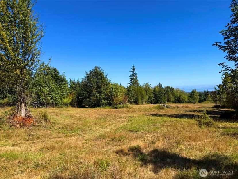 Property photo for 404 Black Bear Trail, Port Angeles photo 30