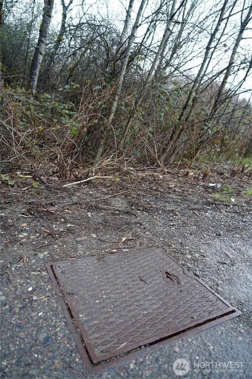 Property photo for 803 112th Street E, Tacoma photo 10