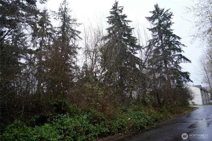Property photo for 803 112th Street E, Tacoma photo 6