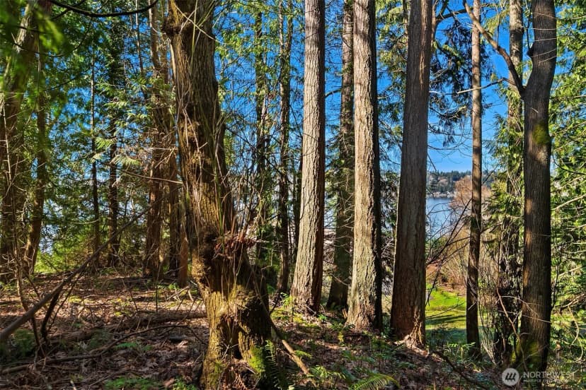 Property photo for 11 Xx 205th Avenue Ne, Sammamish photo 10