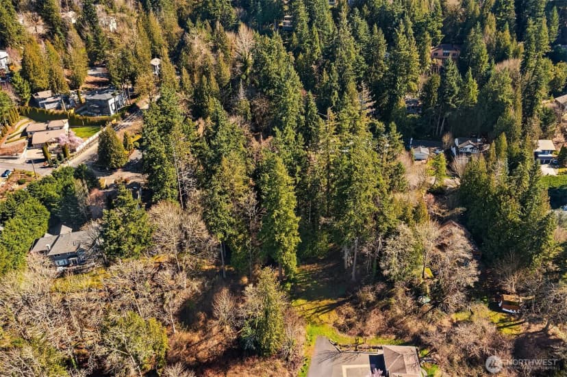 Property photo for 11 Xx 205th Avenue Ne, Sammamish photo 8