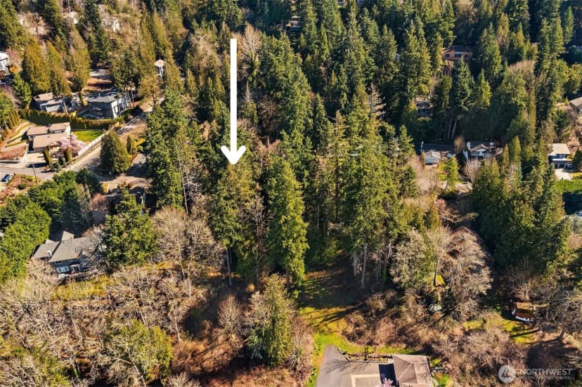 Property photo for 11 Xx 205th Avenue Ne, Sammamish photo 6