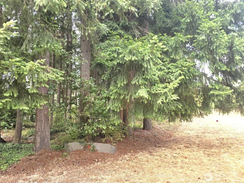 Property photo for 17114 153rd Avenue Se #17, Yelm photo 19