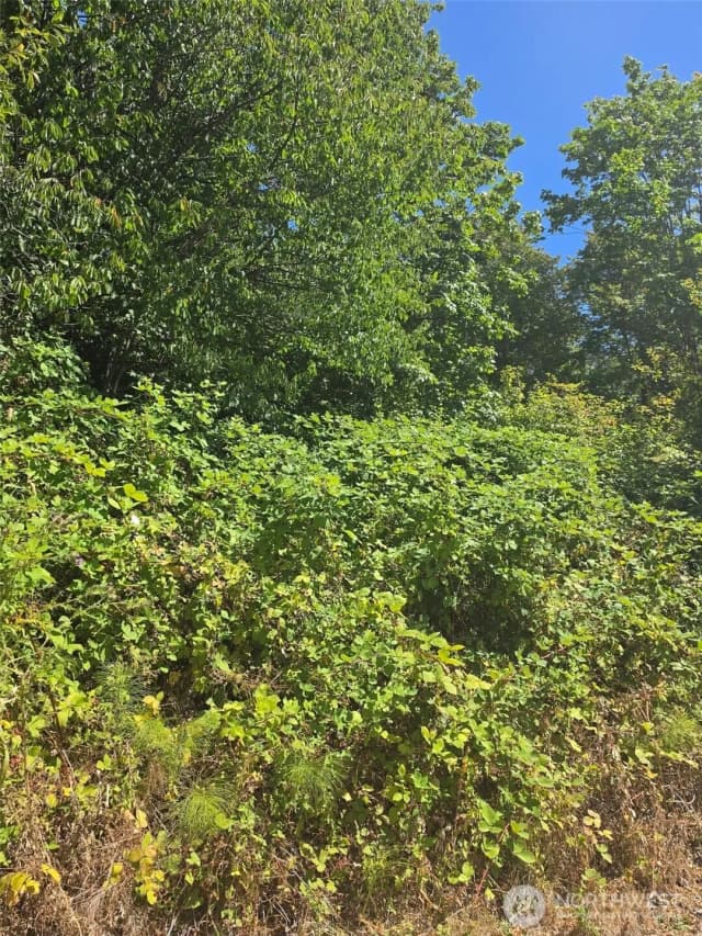 Property photo for 250 X Callow Road, Lake Stevens photo 3