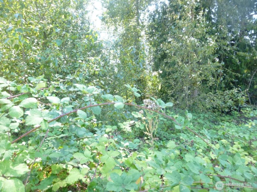 Property photo for 0 Larch Way, Lynnwood photo 8