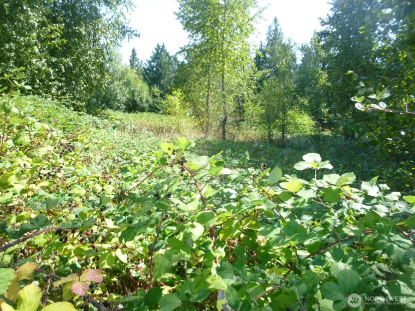 Property photo for 0 Larch Way, Lynnwood photo 10